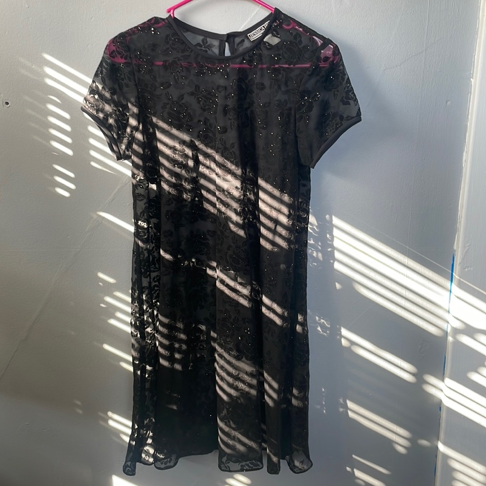 Vintage Made In The USA Jessica Howard Black Rose Sheer dress whimsigoth gatsby